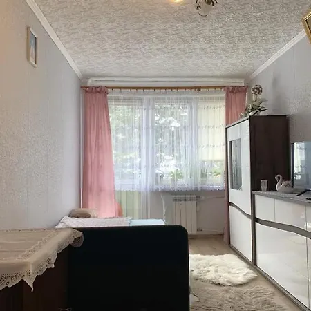 公寓 Tanie Mieszkanie W Centrum Wyszynskiego 46 科宁